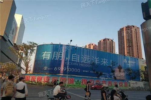 郑州小编最新爆料,揭秘郑州发展背后的故事 第1张 郑州小编最新爆料,揭秘郑州发展背后的故事 第1张